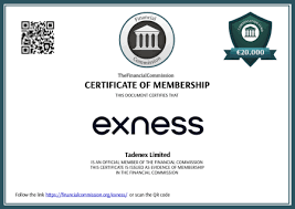 Understanding the Benefits of Exness ECN Trading Understanding the Benefits of Exness ECN Trading
